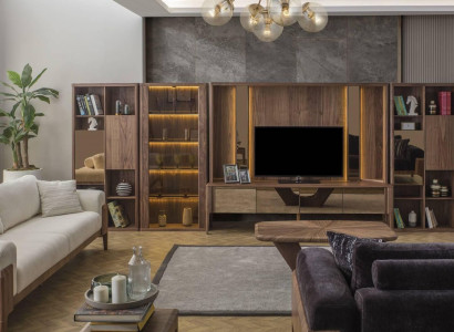 Modern brown wall unit, living room wooden wall, Mux LED shelves, wall units