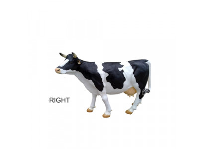 Cow display decoration farm decor garden cows sculpture cow 240cm new