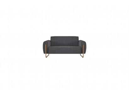 Fabric Sofa Gray Solid Color Home Office 2-Seater Stainless Steel Modern Design