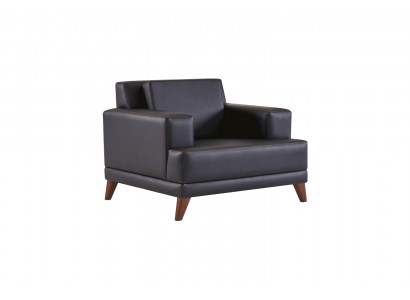 Armchair, black, upholstery, modern, cushion, study, living room, leather, wood.