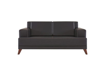 Leather Couch 2-Seater Sofa Black Solid Color Modern Design Leather Sofa Wood