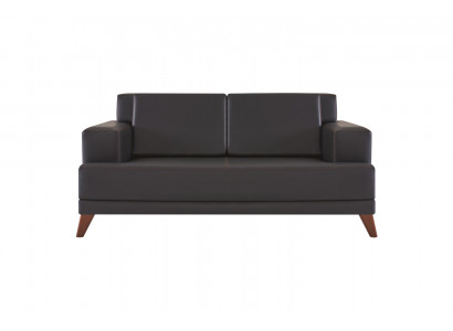 Leather Couch 2-Seater Sofa Black Solid Color Modern Design Leather Sofa Wood