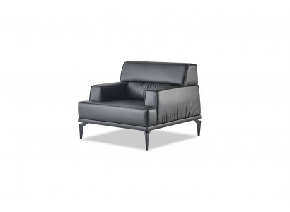 Armchair, recliner, black leather, soft, four-sided, modern, stainless steel, wood