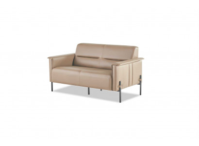 Couch Beige 2-Seater Sofa Modern Leather Sofa Seating Furniture Two-Seater Leather