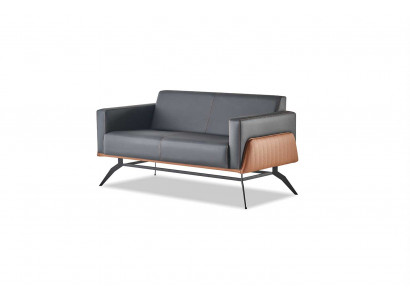 Couch Black Brown Sofa 2-Seater Leather Sofa Modern Stainless Steel Leather Wood