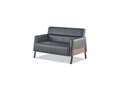 Sofa Black 2-Seater Leather Sofa Modern Couch Leather Stainless Steel Two-Seater