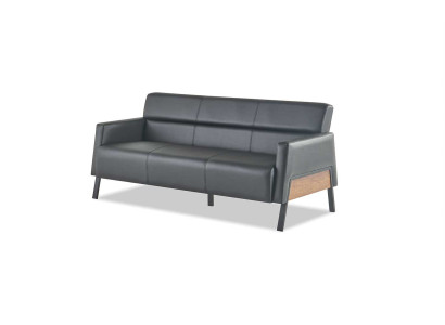Ledesofa Sofa Black 3-Seater Three-Seater Leather Modern Wood Stainless Steel