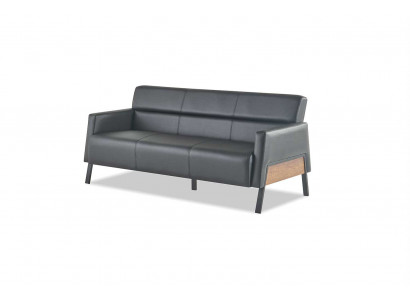 Ledesofa Sofa Black 3-Seater Three-Seater Leather Modern Wood Stainless Steel