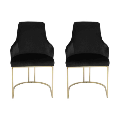 Black Stainless Steel Chairs 2x Dining Chairs Luxury Seating Furniture Set of 2