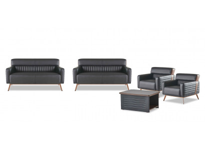 Sofa Office Room Set 5-piece Modern Design 2-seater Armchair Coffee Table