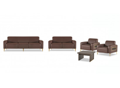 Exclusive brown study furniture, designer coffee table, armchair, 2x sofas