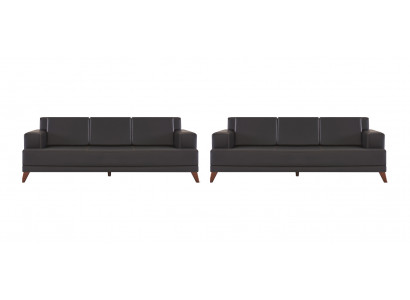 Leather sofas, modern couch, 3-seater, black upholstery, cushions, leather, wood