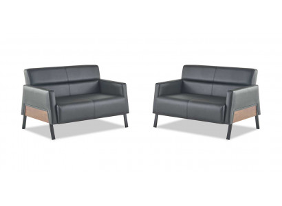 Leather sofa set, 2-seater, black, modern leather couch, stainless steel, wood, soft