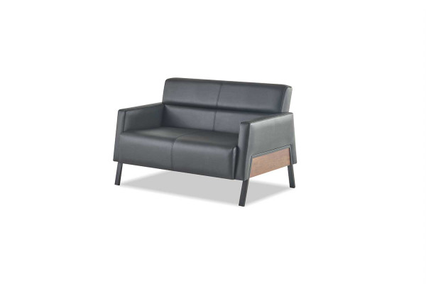 Leather seating set leather sofa 2-seater armchair modern black stainless steel