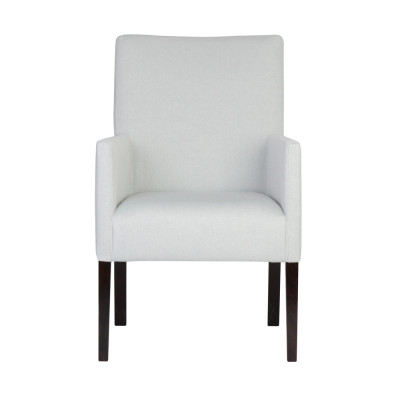 Design Lounge Club Chair Dining Room Recliner Relax Upholstered Restaurant Chairs Armchair Simple