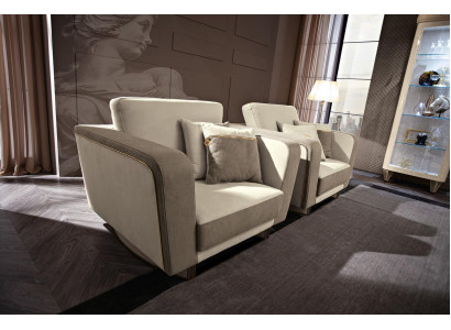 Furniture, furnishing, single-seater, relaxation club, recliner, luxury, armchair, design, chair, hotel, new.