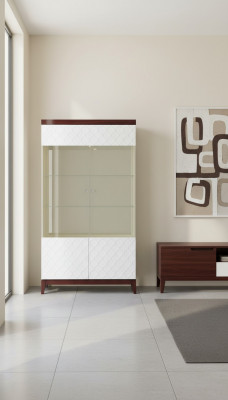 Modern design display cabinet glass cupboard showcase decorative shelf
