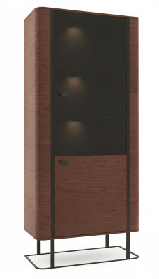 Display cabinet, file cabinet, cupboard, showcase, office, living room, tall cabinet, shelf.