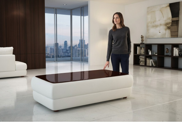 Classic designer coffee table living room furniture leather side table