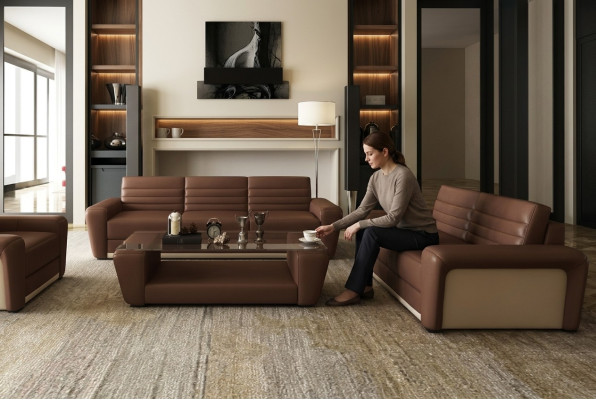 Leather sofa couch living area 3+2 seater design modern sofa living room