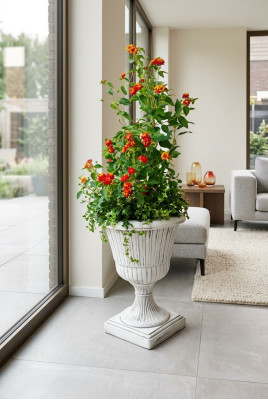 Flower pots, plant containers, decorative figurines, planters, garden, vases.