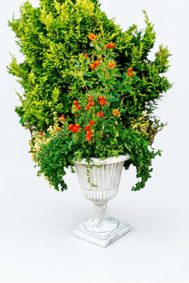 Flower pots, plant containers, decorative figurines, planters, garden, vases.