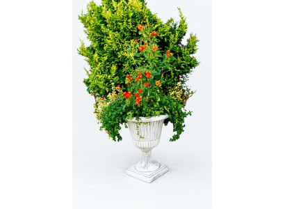 Flower pots, plant containers, decorative figurines, planters, garden, vases.