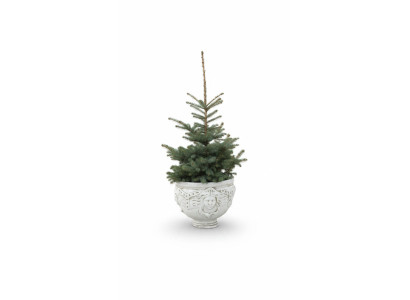 Flower pot planter decoration figure flower pots garden vases nature