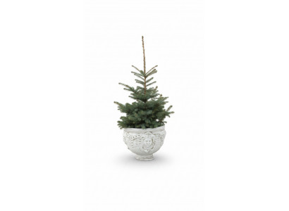 Flower pot planter decoration figure flower pots garden vases nature