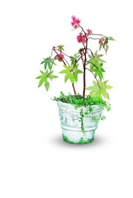 Flower pot planter decoration nature figure flowerpots vases garden