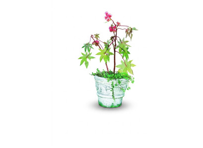 Flower pot planter decoration nature figure flowerpots vases garden