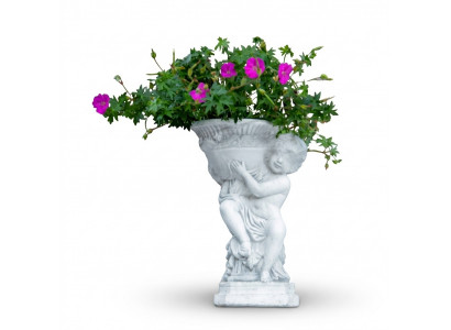 Natural flower pots planting pots decoration figure vases flowerpots garden