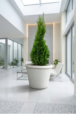 Flower pot plant container decoration figure vases garden flower pots nature