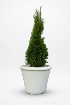 Flower pot plant container decoration figure vases garden flower pots nature