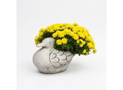 Flower pot, natural plant container, decoration figure, garden flower pots, vases