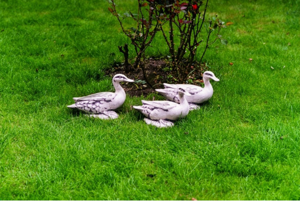 Garden decoration duck terrace stone figures figure statue sculpture