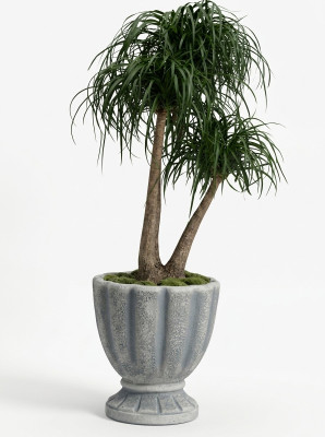 Design flowerpot decoration pot plant tub container pots figure face sculpture