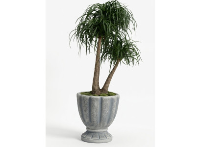 Design flowerpot decoration pot plant tub container pots figure face sculpture