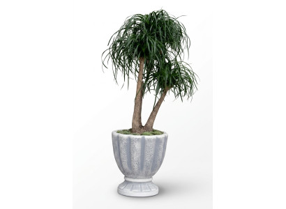 Flower pots, planter, pot, flowers, decorative pots, XXL concrete garden terrace