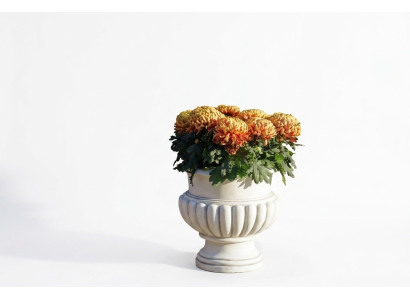 Flower pots decorative box pot flower pots XXL concrete garden terrace