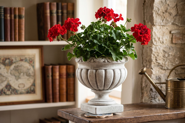 Design flowerpot top plant decorative pot container pots figure face