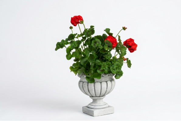 Design flowerpot top plant decorative pot container pots figure face