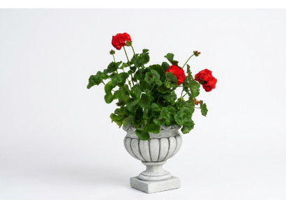 Design flowerpot top plant decorative pot container pots figure face