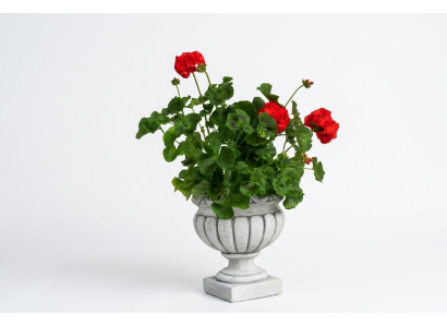 Design flowerpot top plant decorative pot container pots figure face
