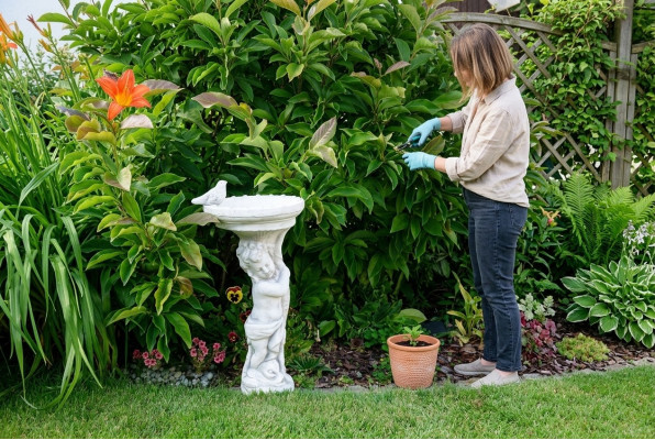 Bird Decor Drinking Sculpture Design Figure Statue Garden Figures Statues