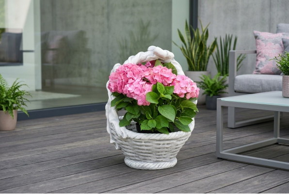 Flower pots, plant containers, decoration, nature, garden, figure, vases, flowerpots