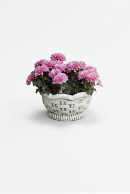 Flower pots box pot flowers pots XXL garden concrete decorative terrace
