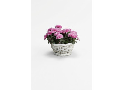 Flower pots box pot flowers pots XXL garden concrete decorative terrace