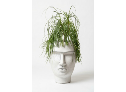 Design Flower Pot Top Plant Container Vessel Deco Figure Pot Face Sculpture