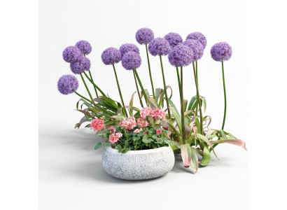 Flower pot natural plant container decoration garden vases figure flower pots